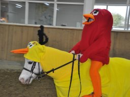 DSC_0212-2_web